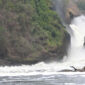 water falls 85x85