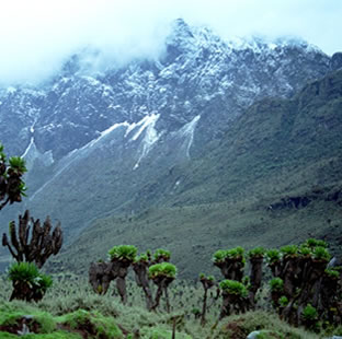 rwenzori destination